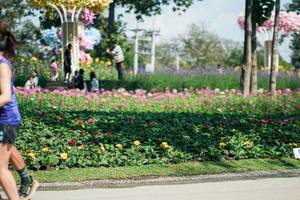 BIB: 
                            <button type="button" onclick="openModal(27608996)" class="btn btn-primary btn-sm float-right btn-popup" data-toggle="modal" data-target=".modal-high-quality">
                        <i class="fas fa-shopping-cart"></i> Add to Cart
                    </button>
                                            <button type="button" onclick="isThisMe(27608996, true)" class="btn btn-success btn-sm float-right btn-popup btn-isme hidden" data-toggle="tooltip" data-placement="bottom" title="นี่คือรูปของคุณใช่ไหม คลิกที่นี่เพื่อเอาเข้าอัลบั้ม">
                        <i class="fas fa-plus"></i> Add to album
                    </button>
                    <button type="button" onclick="isThisMe(27608996, false)" class="btn btn-warning btn-sm float-right btn-popup btn-isnotme hidden">
                        <i class="fas fa-ban"></i> Remove from album
                    </button>